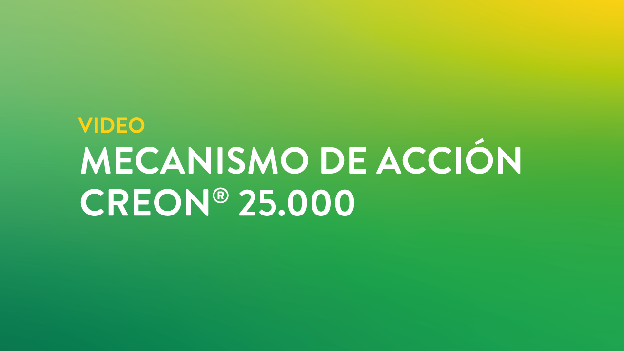 mecanismo de accion